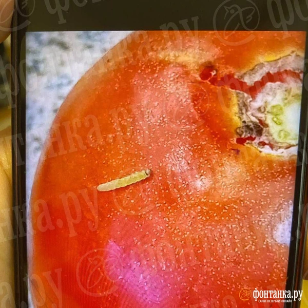 Источник: читатель «Фонтанки»