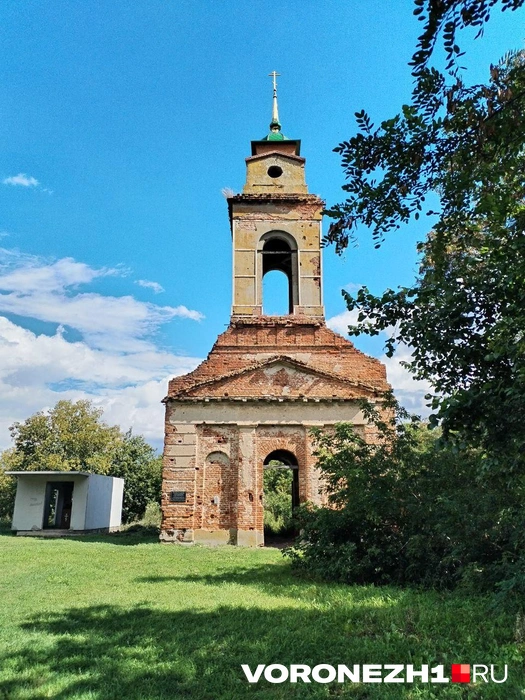 Источник: Алёна Воропаева / Voronezh1.ru