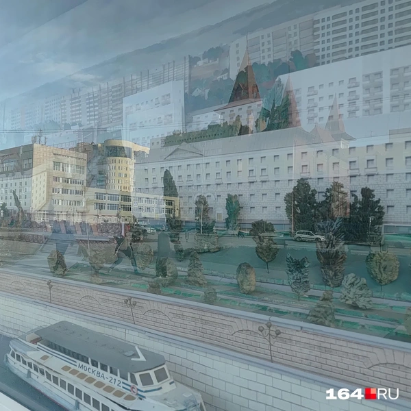 Источник: Сергей Гендин / 164.RU