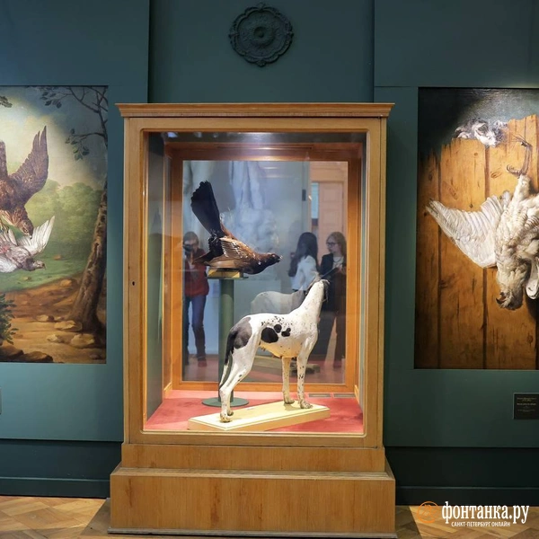 Источник: Дарья Драй / «Фонтанка.ру»