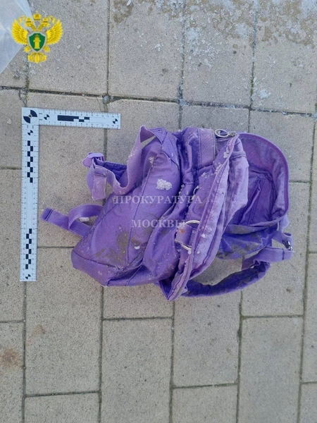 цуцкова елена, елене цуцковой, елена цуцкова балашиха, елена цуцкова вк, цуцкова елена николаевна, елена цуцкова убила, елена цуцкова москва, елена цуцкова убила сына, елена цуцкова соцсети, елена цуцкова ребенок | Источник: прокуратура Москвы