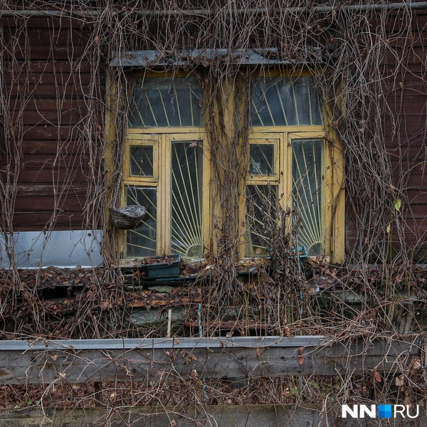 Дома пришли в запустение | Источник: Наталья Бурухина / NN.RU