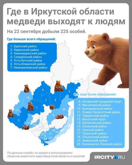 Карта активности медведей в Иркутской области | Источник: Полина Авдошина / Городские медиа