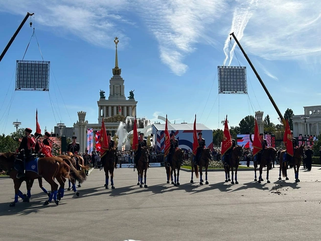 Кони на ВДНХ | Источник: Римма Багдасарян / MSK1.RU