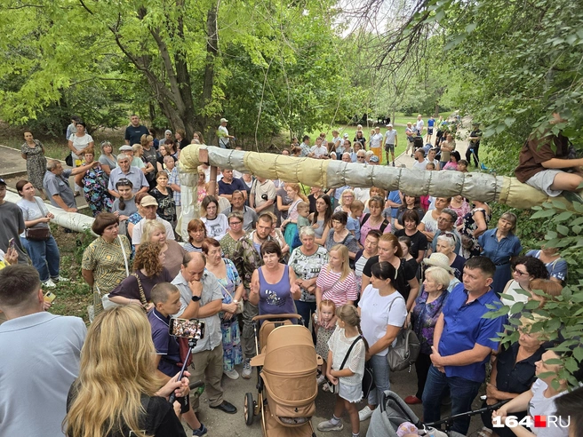 На встрече собралось до двухсот местных жителей | Источник: Семен-Коротов Майбах / 164.RU