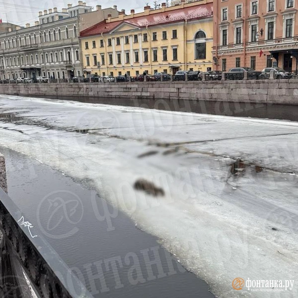 Изо льда Мойки напротив дома Олега Соколова вырубили труп мужчины | Источник: «Фонтанка.ру»