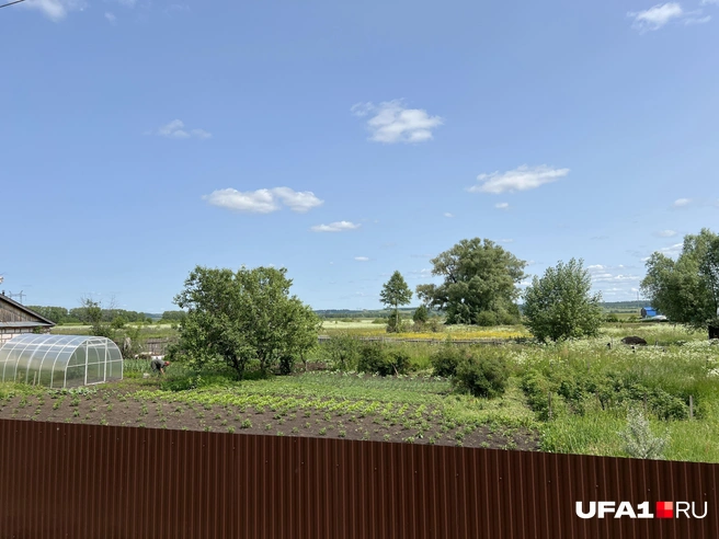 Народ работает в огороде | Источник: Андрей Бирюков / UFA1.RU