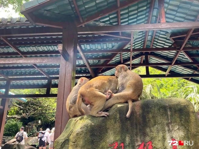 Источник: Елизавета Ч.