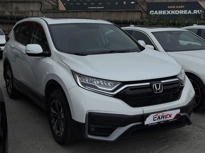 Автомобили, которые россияне приобрели в Carex Korea | Источник: CarexKorea