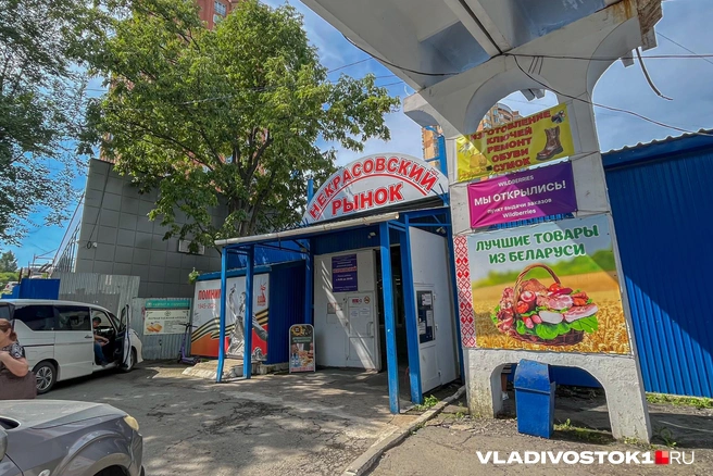 Источник: Елена Буйвол / VLADIVOSTOK1.RU