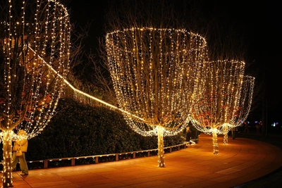 How Much Did Sergey Galitsky Spend on New Year Decorations in Krasnodar Park?