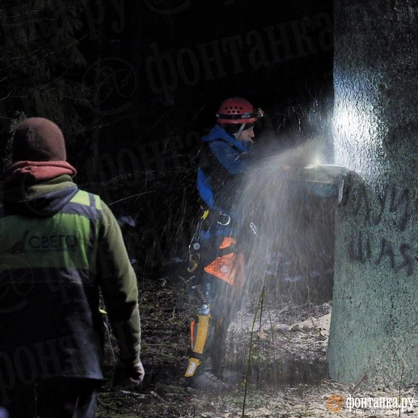 Источник: Михаил Огнев / FONTANKA.RU