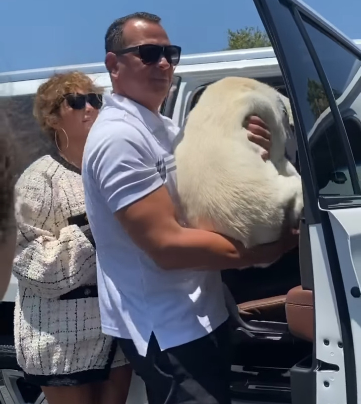 Без Леди не полетим: Дженнифер Лопес с семьей и собаками улетела на отдых