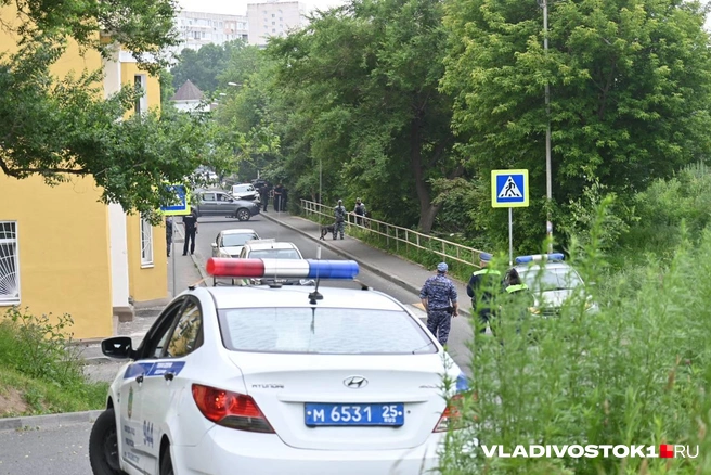 Источник: Елена Буйвол / VLADIVOSTOK1.RU