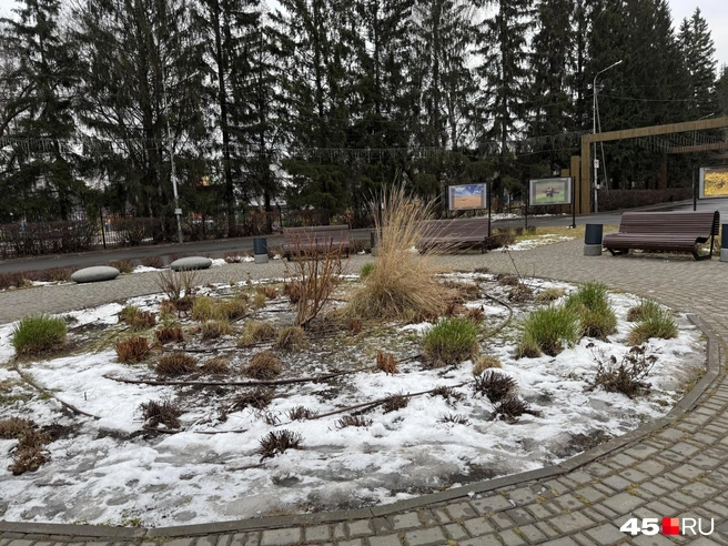 Наверное, единственный оставшийся снег в городе на клумбе | Источник: Юлия Король / 45.RU