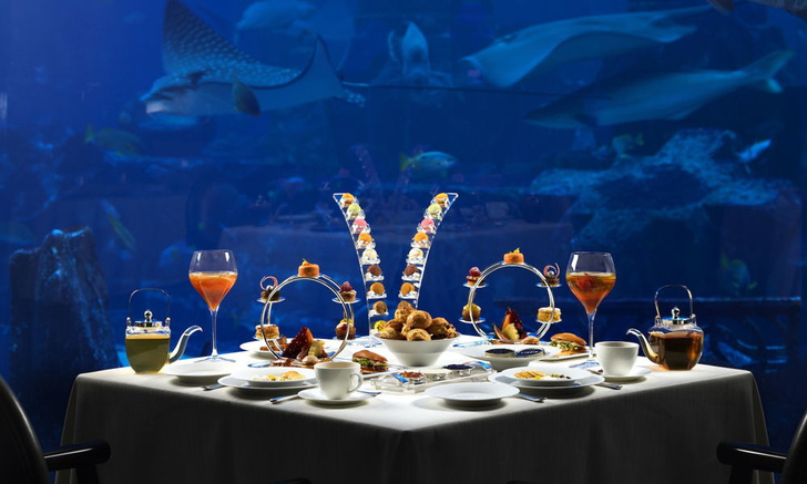 Полное погружение: топ-10 лучших подводных ресторанов (фото 23)