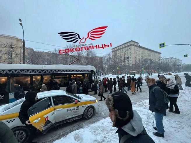 Источник: Реальные соколинцы / T.me