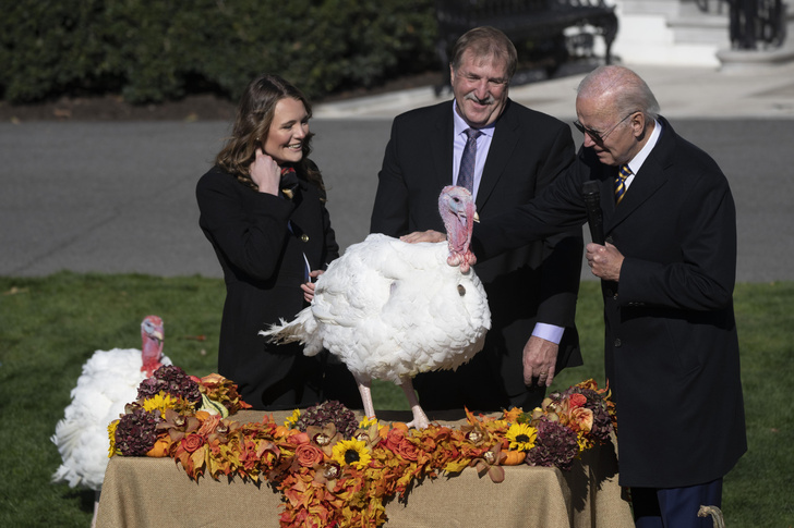 Праздник урожая: как возник День благодарения и почему президент США каждый год «милует» индейку