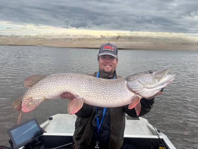 Источник: Владимир Зинченко