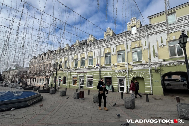 Источник: Елена Буйвол / VLADIVOSTOK1.RU