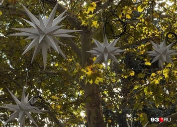 Так звезды выглядят вблизи | Источник: Дарья Паращенко / 93.RU