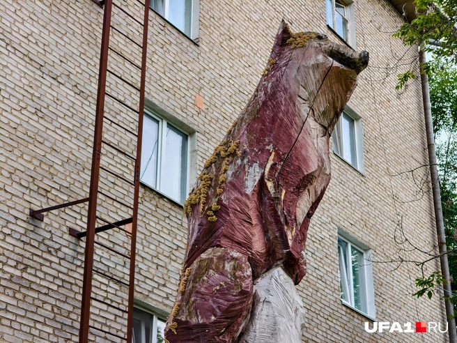 Это, кстати, куница, а не тасманский дьявол | Источник: Булат Салихов / UFA1.RU