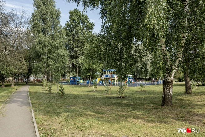 Зеленую зону парка пополнили молодые деревья | Источник: Александр Куренной / 76.RU