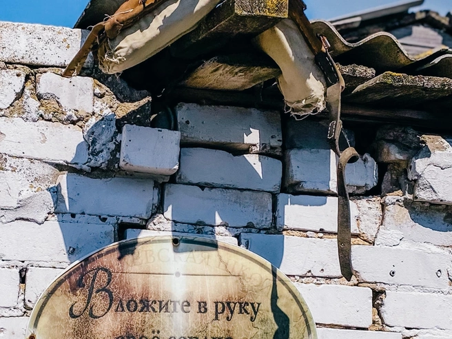 Воспитанные лошади вызывают чувство доверия и симпатии. | Источник: Юлия Воропаева
