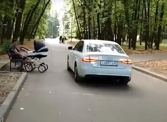 Водитель Audi проехал по аллеям в ЦПКиО (видео) | ya62.ru
