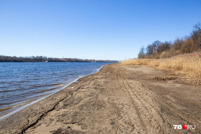 Понижение уровня воды в Волжских водохранилищах связано с малоснежной и теплой зимой | Источник: Кирилл Поверинов / 76.RU