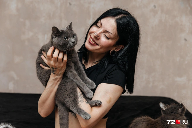Сейчас Александра пристраивает четырех котов. Познакомимся? Это Миса, ей всего 3–4 года. Ее нашли на детской площадке. Может, поэтому она такая ласковая | Источник: Ирина Шарова / 72.RU