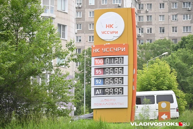 Источник: Елена Буйвол / VLADIVOSTOK1.RU