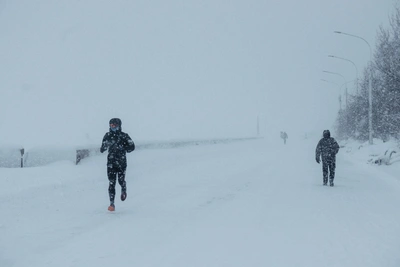Метели и сильный снег ожидаются в Архангельской области