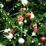 Сегодня стартуют крупные культурные проекты | ngs24.ru