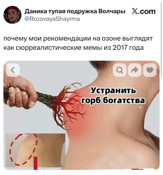 Источник: X (Twitter)