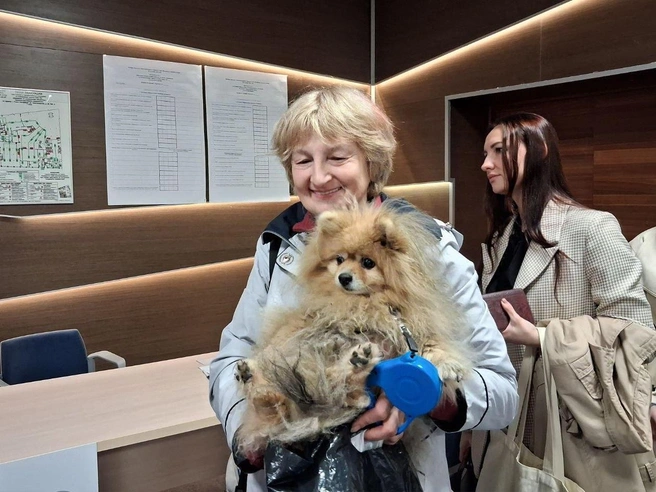 Источник: Анна Мотовилова / FONTANKA.RU