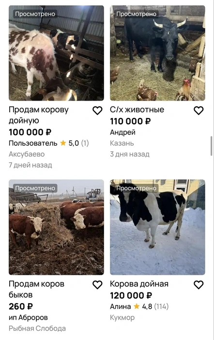 Источник: Avito.ru