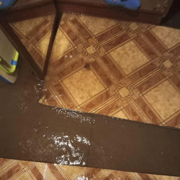 Квартиры на первом этаже дома на Линейной, 52 наполняются водой из-под пола | Источник: Читатель 45.ru