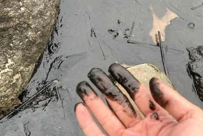 Депутат зафиксировал загрязнение нефтепродуктами берега Финского залива