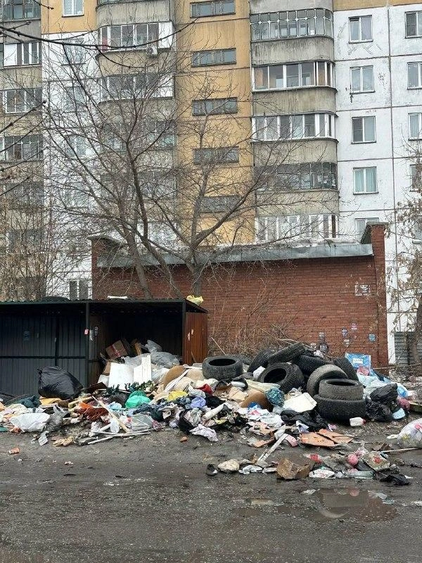 Площадка на Грибоедова | Источник: Наталья