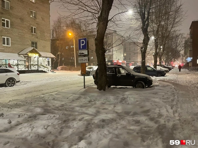 На парковке нет ни дворников, ни машин. Вероятно, всё это связано | Источник: Екатерина Вохмянина