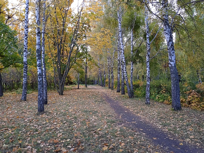 В Ульяновске ожидаются ночные заморозки | Источник: Дмитрий Сильнов / 173. RU