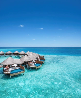 Chef’s Garden: 3 новые гастрономические программы на курорте Baros Maldives | Источник: Пресс-служба