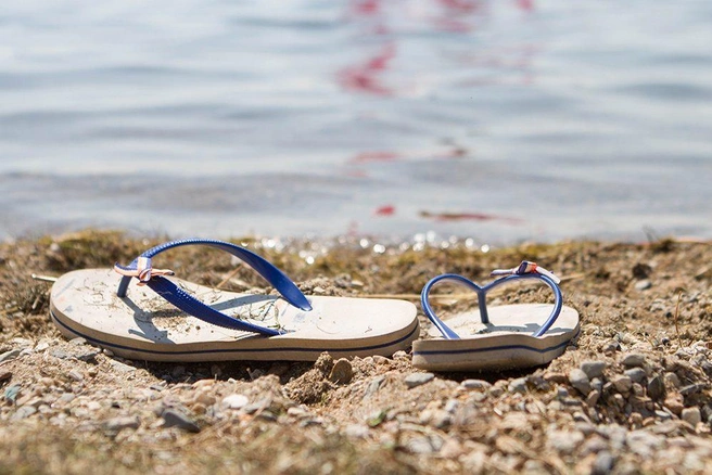 Источник: Анна Хвостова