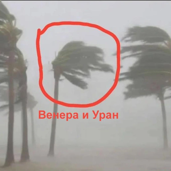 Источник: соцсеть