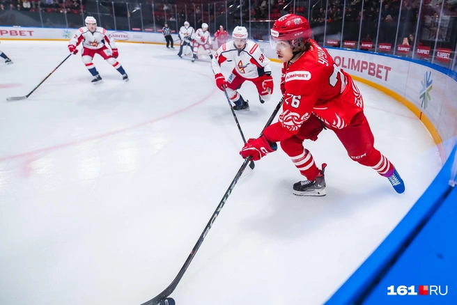 Источник: Евгений Вдовин / 161.RU