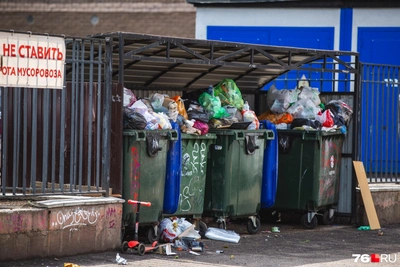 В Ярославле тестируют систему наблюдения за мусором