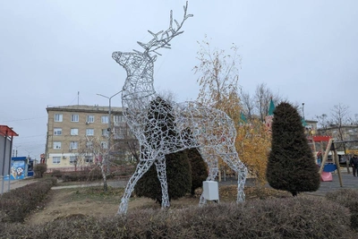 Предновогодний олень за полмиллиона появился в Камышине