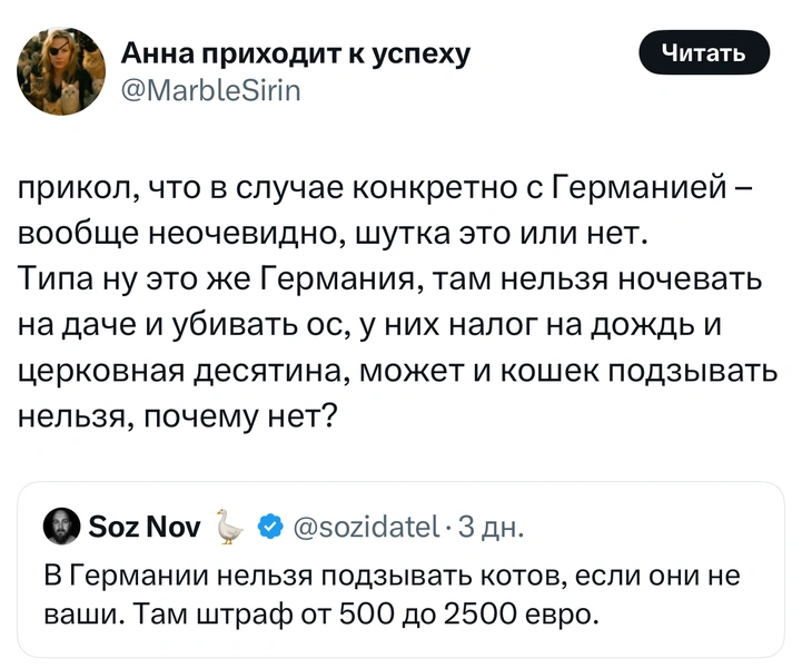 Источник: X (Twitter)