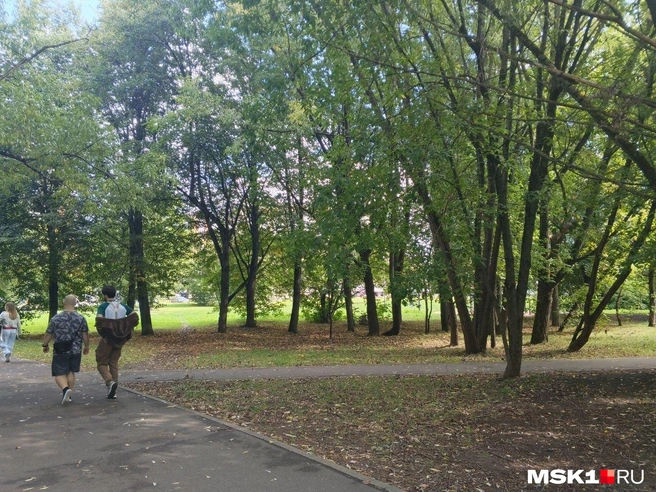 В парке ежедневно гуляют люди | Источник: Арина Майорова / MSK1.RU